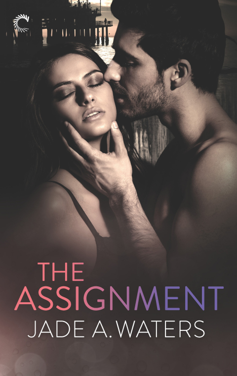Cover image for book The Assignment