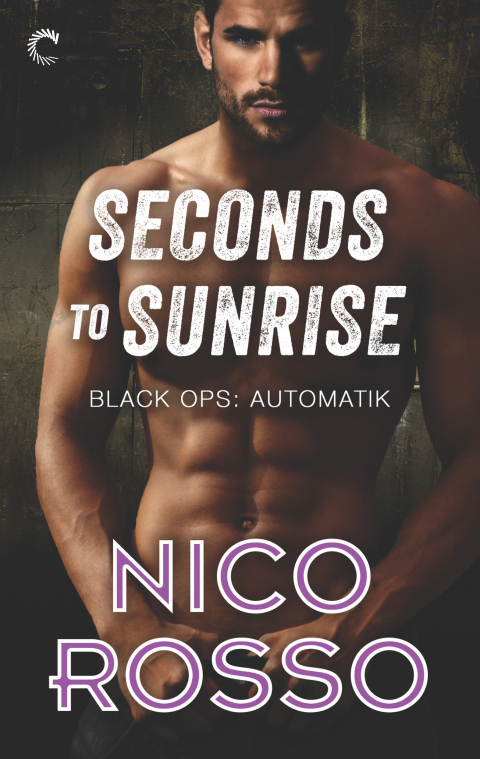 Cover image for book Seconds to Sunrise