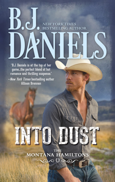 Cover image for book Into Dust