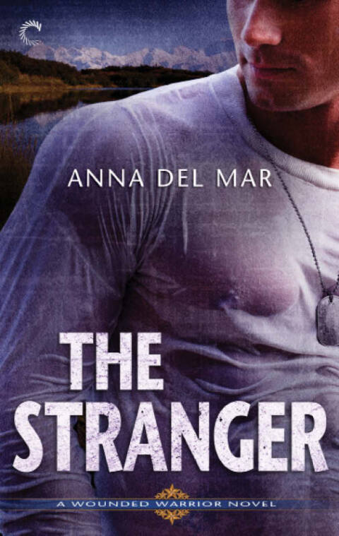 Cover image for book The Stranger