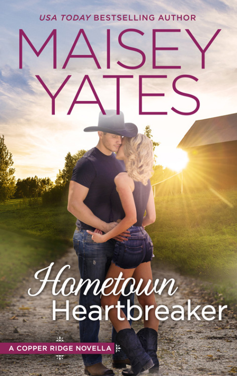 Cover image for book Hometown Heartbreaker