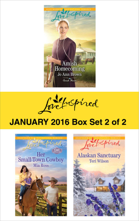 Cover image for book Love Inspired January 2016 - Box Set 2 of 2