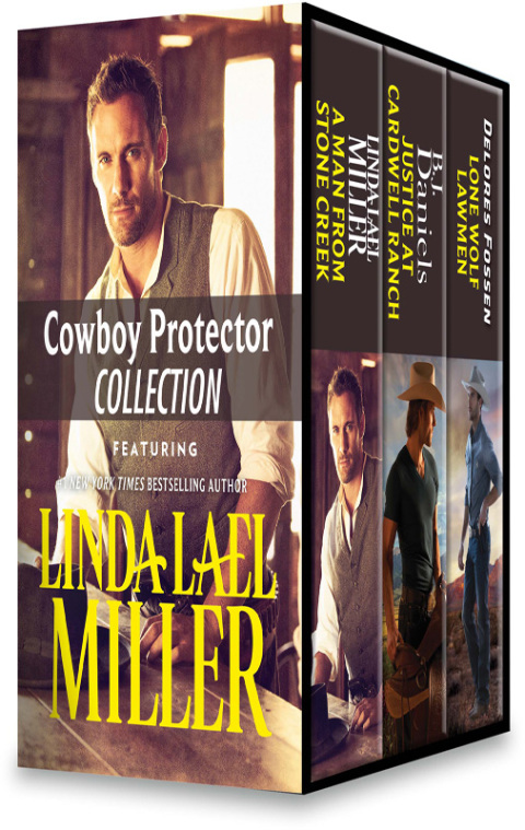 Cover image for book Cowboy Protector Collection