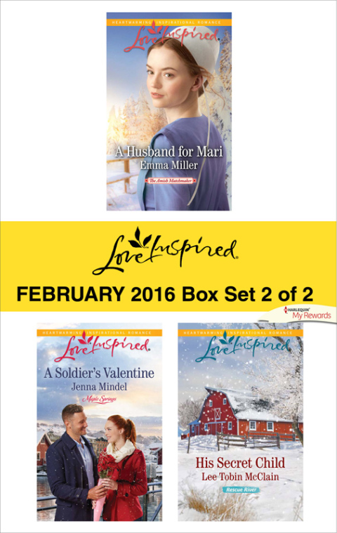 Cover image for book Love Inspired February 2016 - Box Set 2 of 2
