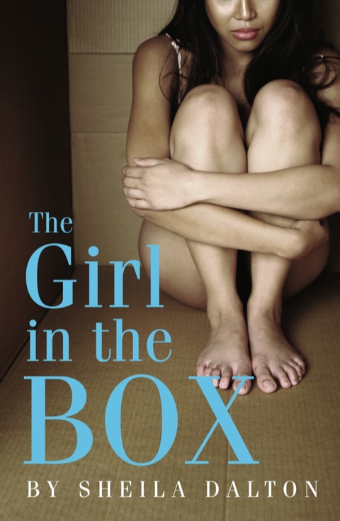 Cover image for book The Girl in the Box