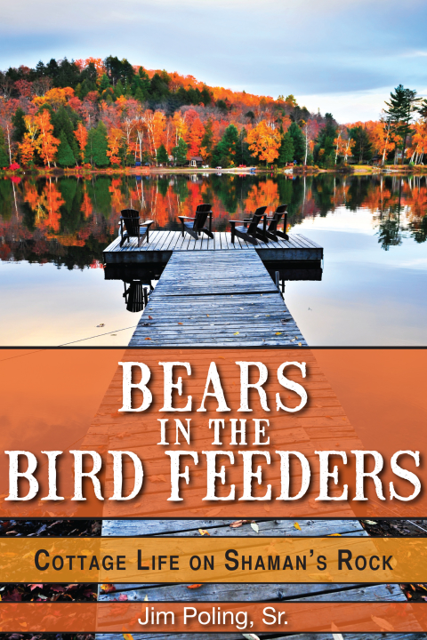 Cover image for book Bears in the Bird Feeders
