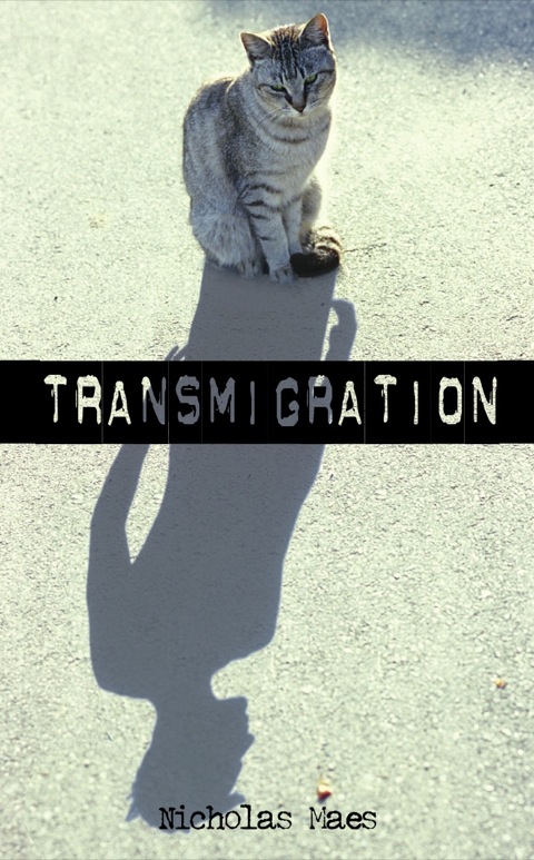 Cover image for book Transmigration