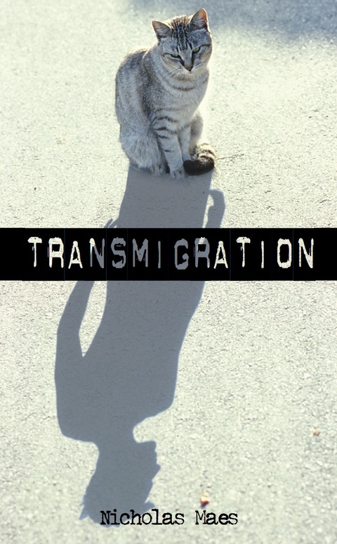 Cover image for book Transmigration
