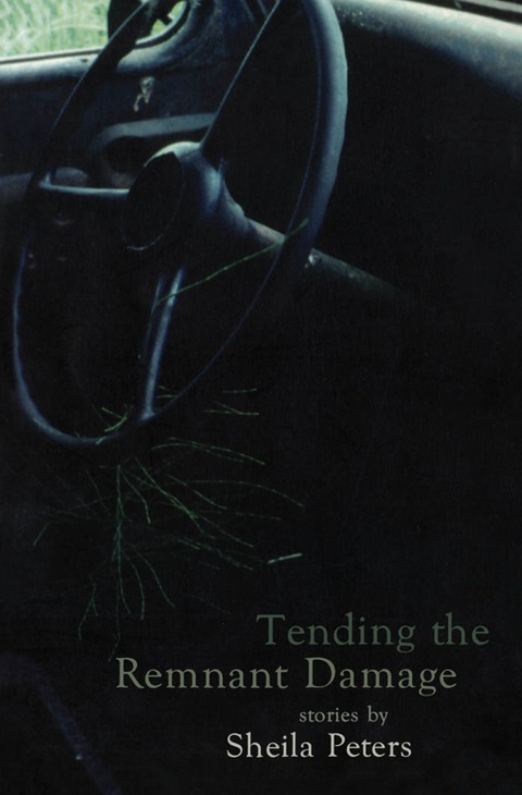 Cover image for book Tending the Remnant Damage