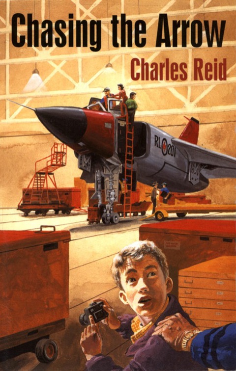 Cover image for book Chasing the Arrow