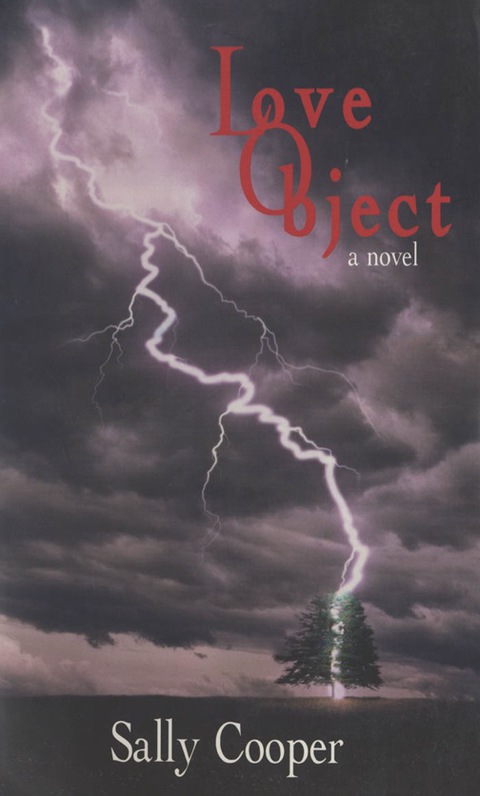 Cover image for book Love Object