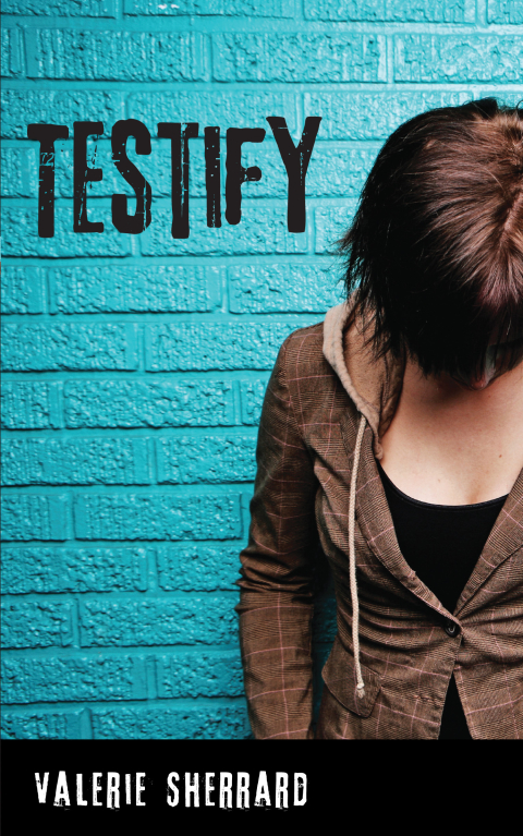 Cover image for book Testify