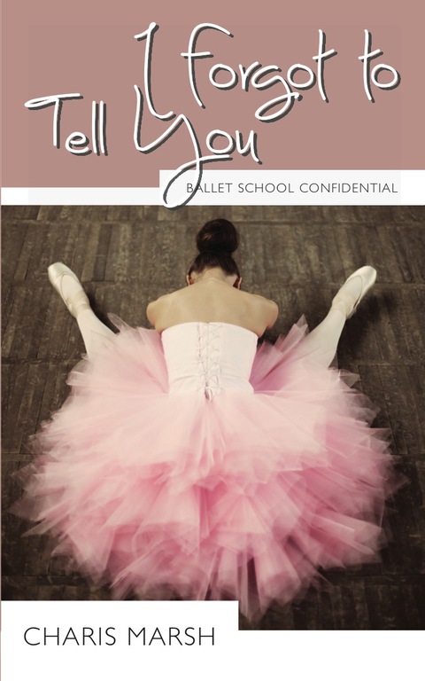 Cover image for book I Forgot to Tell You