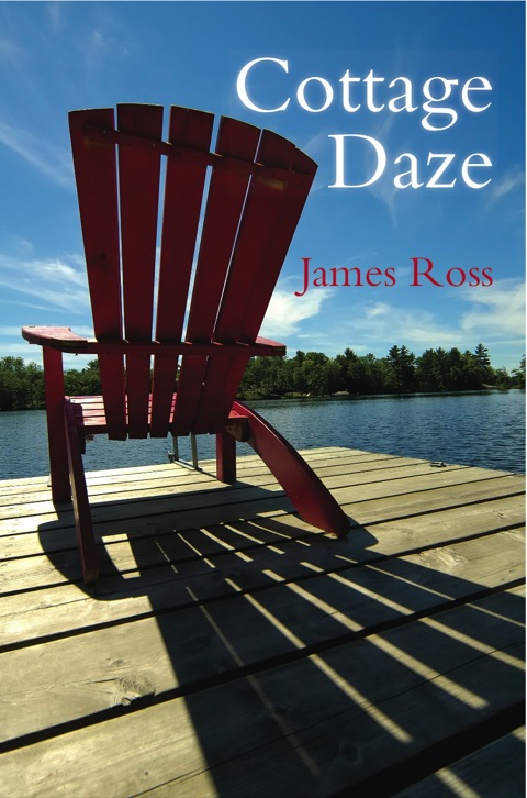 Cover image for book Cottage Daze