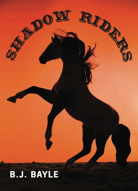 Cover image for book Shadow Riders
