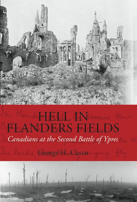 Cover image for book Hell in Flanders Fields