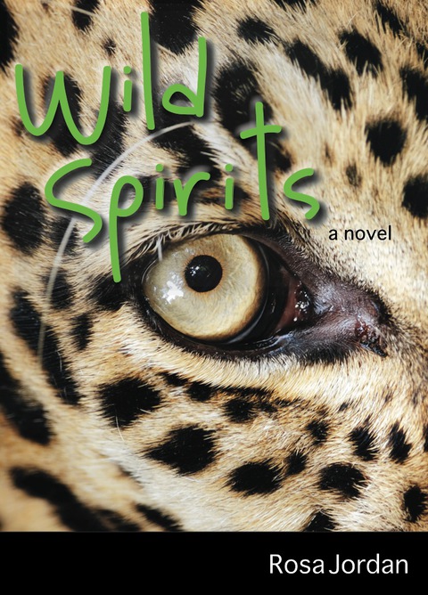 Cover image for book Wild Spirits