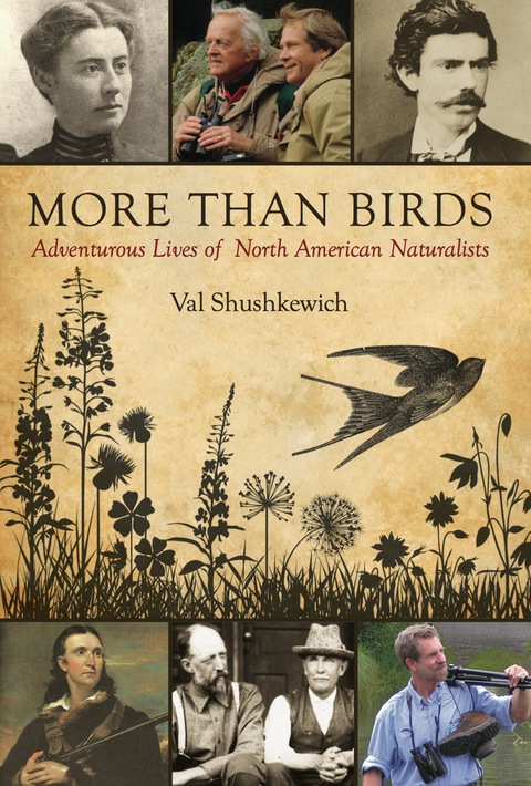 Cover image for book More Than Birds