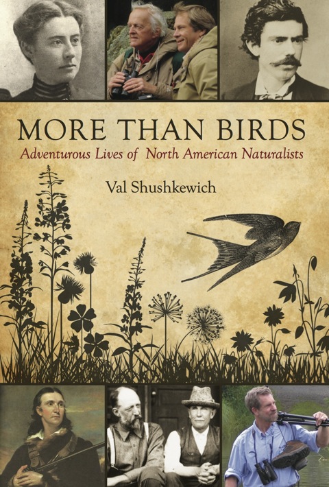 Cover image for book More Than Birds