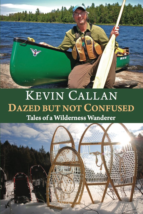 Cover image for book Dazed but Not Confused