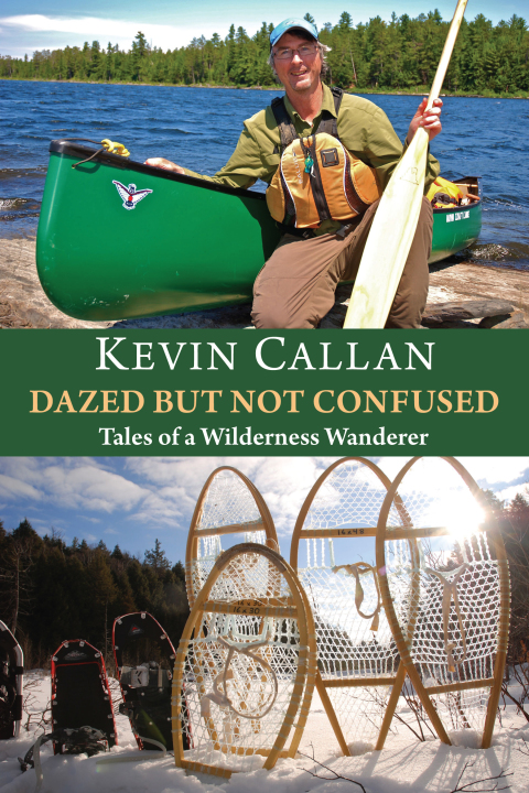 Cover image for book Dazed but Not Confused