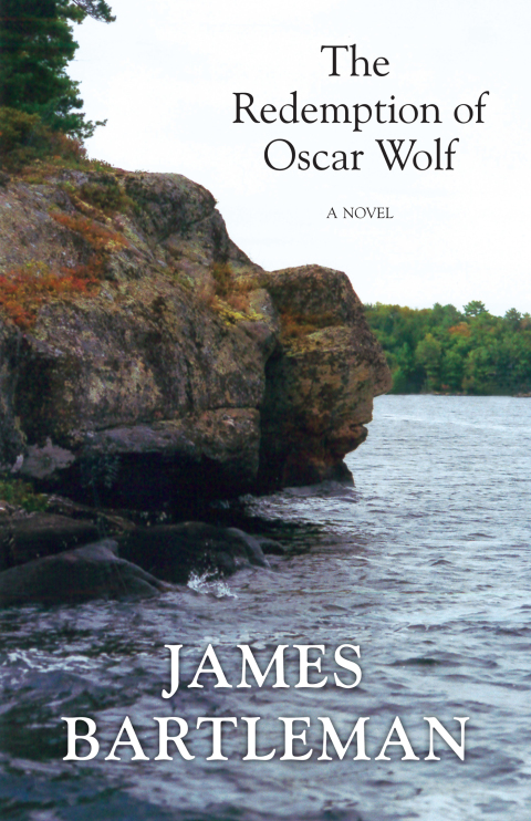 Cover image for book The Redemption of Oscar Wolf