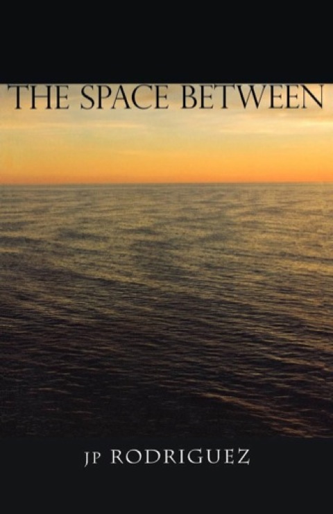 Cover image for book The Space Between