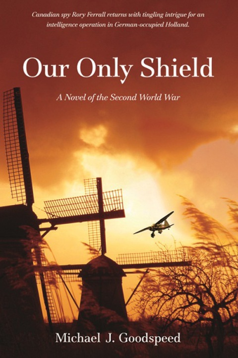 Cover image for book Our Only Shield