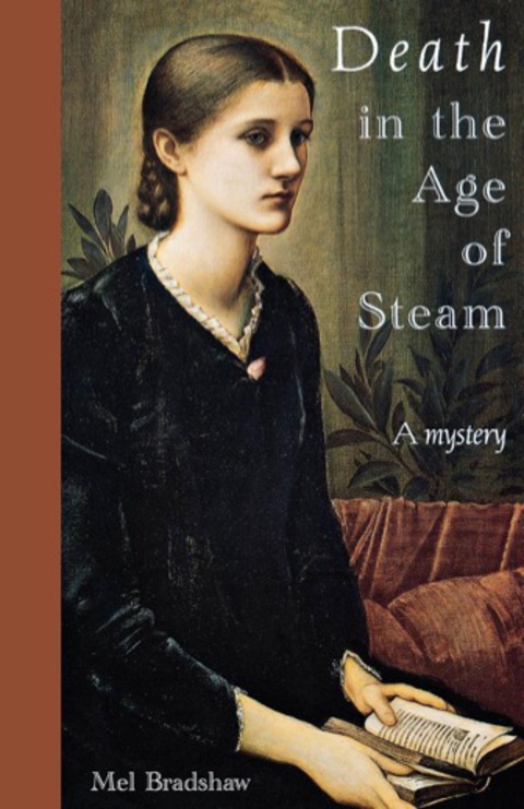 Cover image for book Death in the Age of Steam