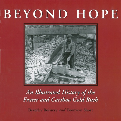 Cover image for book Beyond Hope