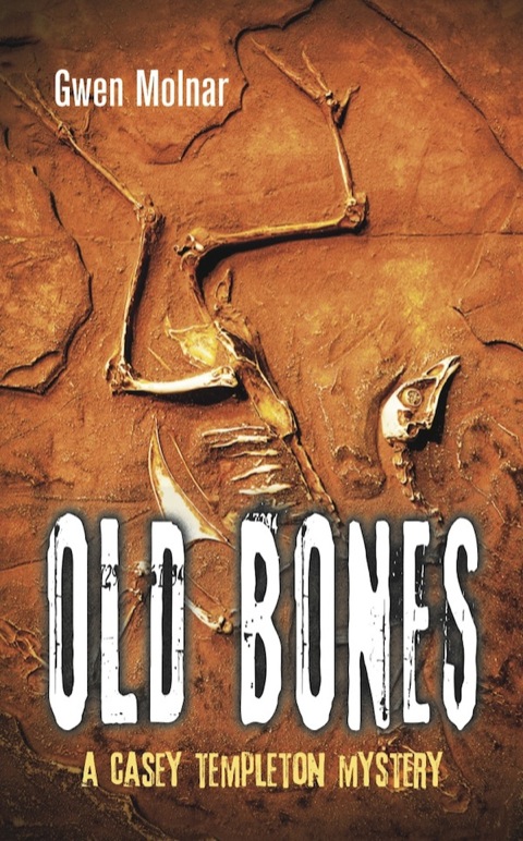 Cover image for book Old Bones