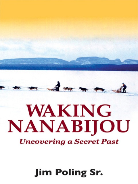 Cover image for book Waking Nanabijou