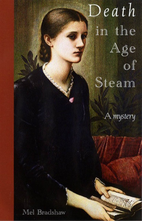Cover image for book Death in the Age of Steam