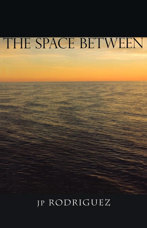 Cover image for book The Space Between