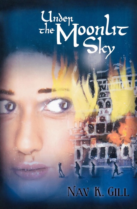 Cover image for book Under the Moonlit Sky