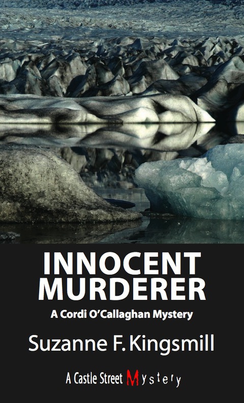 Cover image for book Innocent Murderer