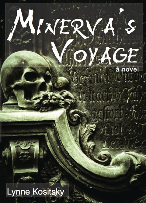 Cover image for book Minerva's Voyage