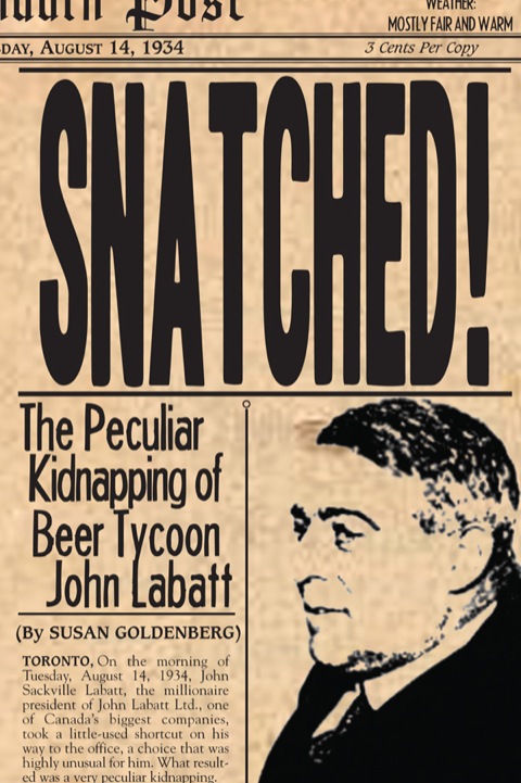 Cover image for book Snatched!