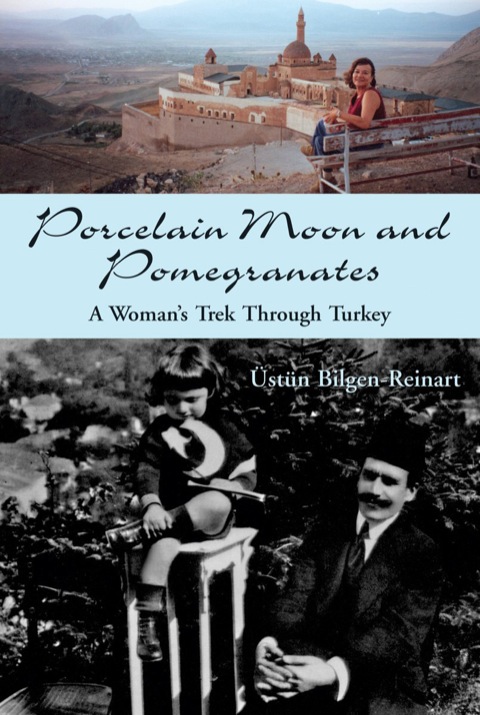 Cover image for book Porcelain Moon and Pomegranates