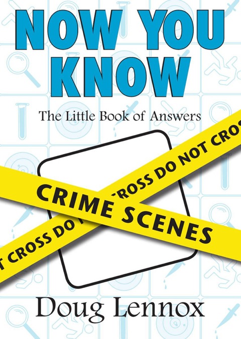 Cover image for book Now You Know Crime Scenes