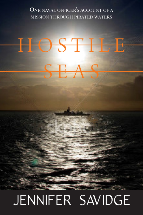 Cover image for book Hostile Seas