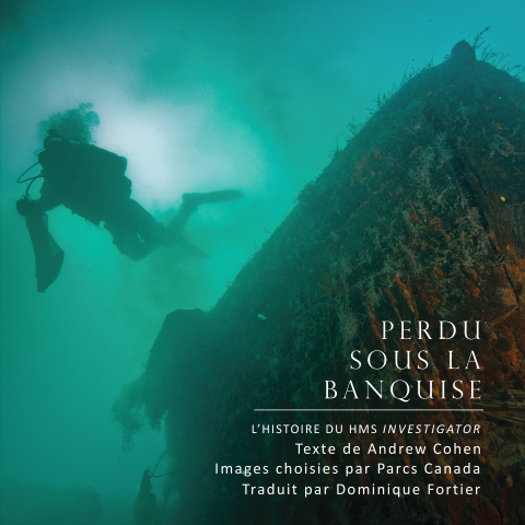 Cover image for book Perdu sous la banquise
