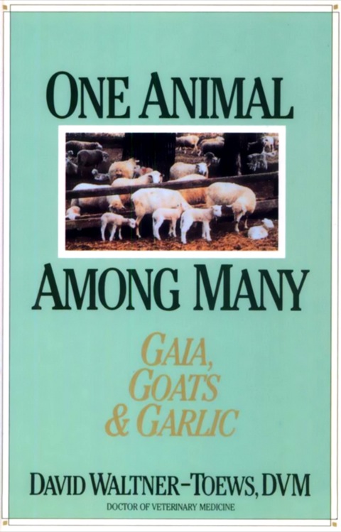 Cover image for book One Animal Among Many