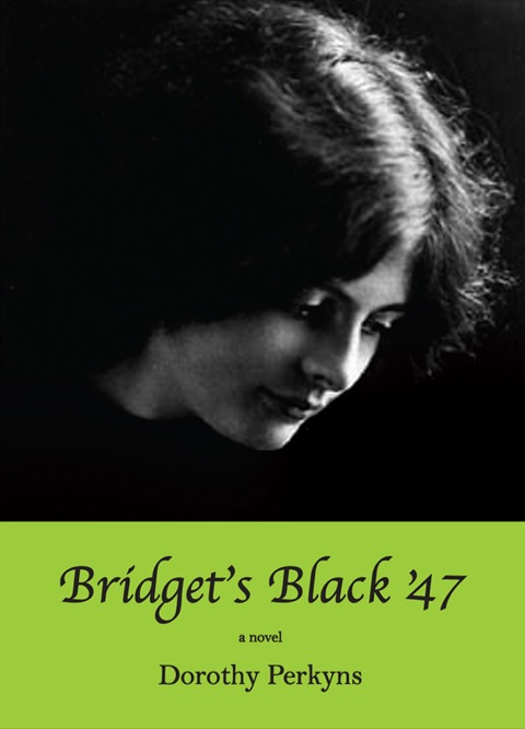Cover image for book Bridget’s Black ’47