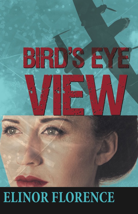 Cover image for book Bird's Eye View