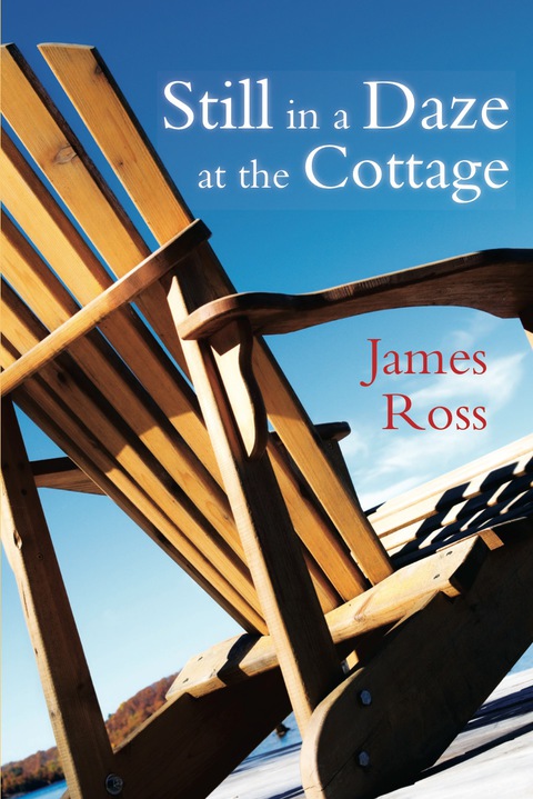 Cover image for book Still in a Daze at the Cottage