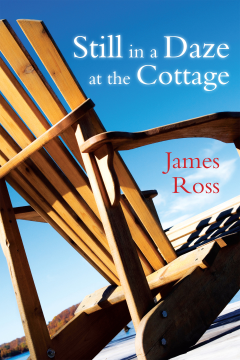 Cover image for book Still in a Daze at the Cottage