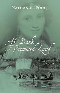 Cover image: A Dark and Promised Land 9781459722002