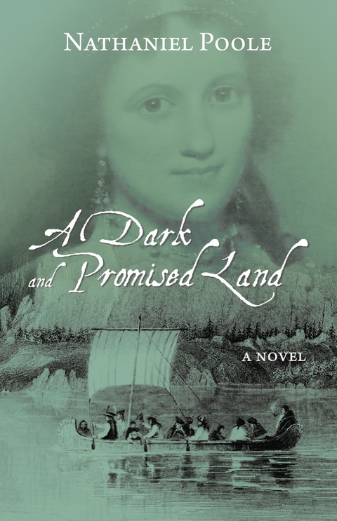 Cover image for book A Dark and Promised Land