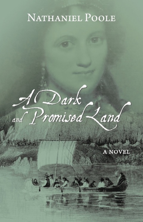 Cover image for book A Dark and Promised Land